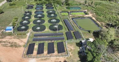 Primera granja piscícola autosostenible con energía solar nace en La Loma, Cesar