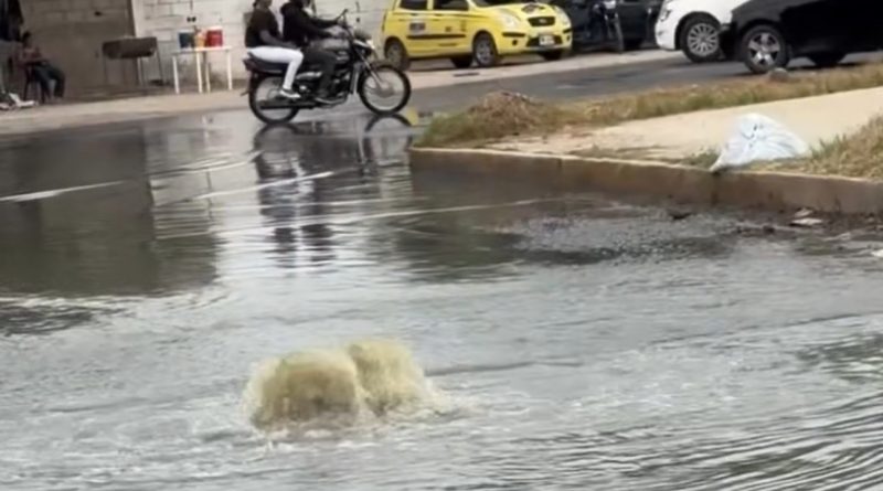 Declaran emergencia sanitaria por colapso total del alcantarillado en El Edén